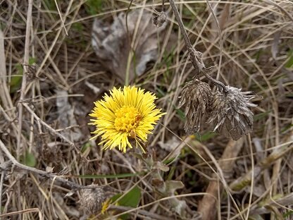 Фото из личного архива автора