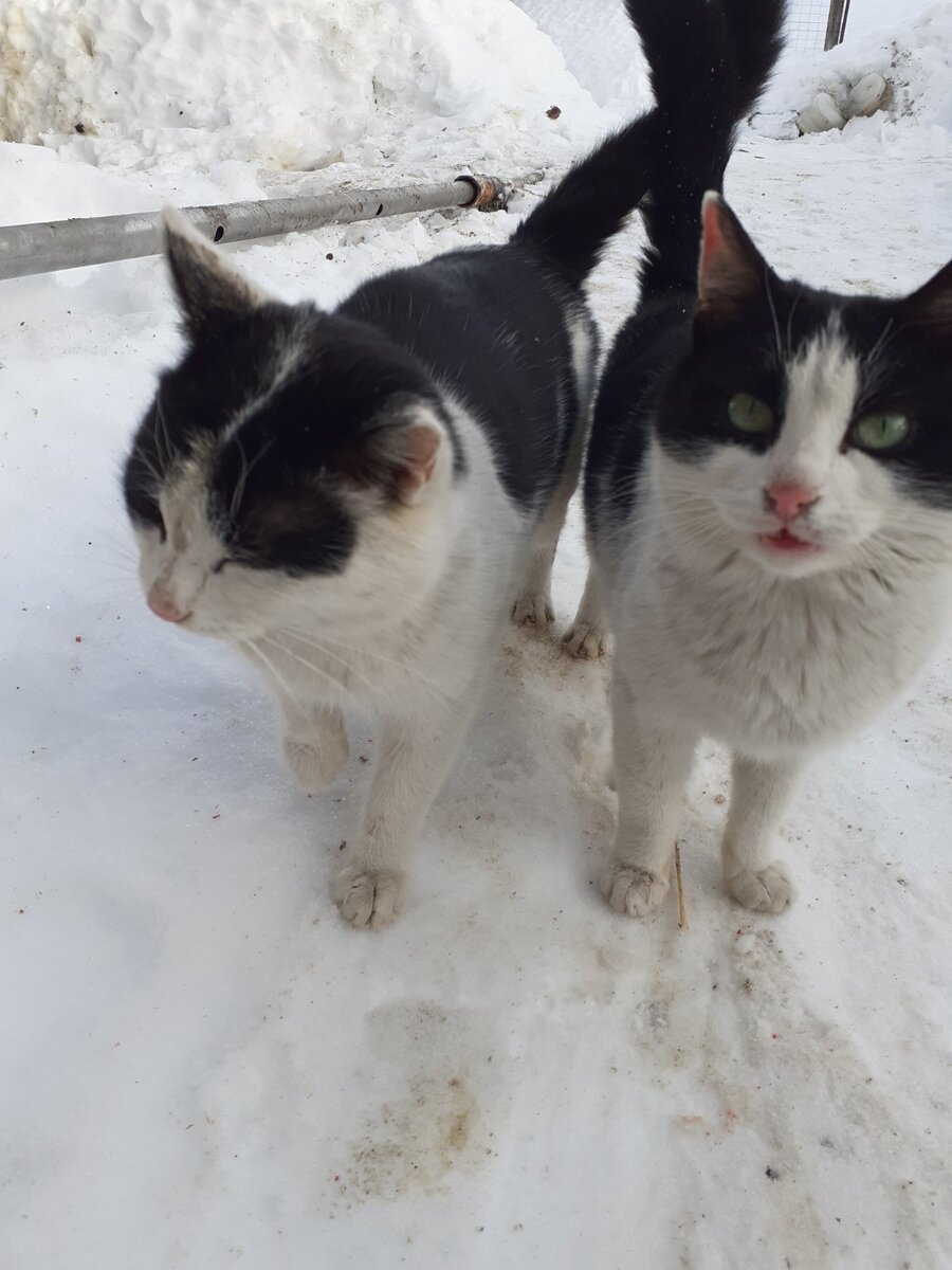 Юхуууу! Спасибочки!)💫🥰