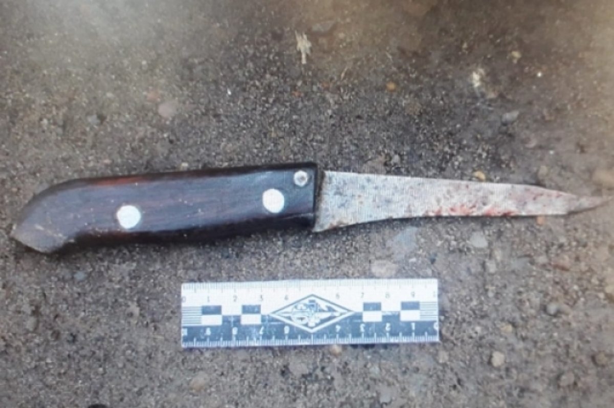    Под Волгоградом 10-летний мальчишка ударил одноклассника ножом в сердце