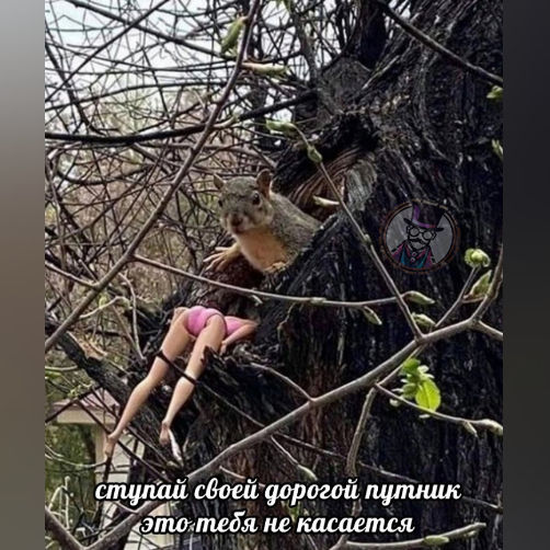 Понял