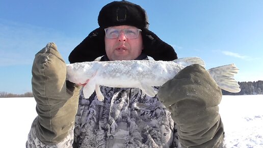 Рыбалка на Оби, на жерлицы!