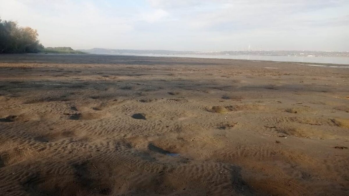    Скандал в Энгельсе: из-за обмеления Волги отменили проект, за который голосовали жители Новости Саратова и области – Сетевое издание «Репортер64»