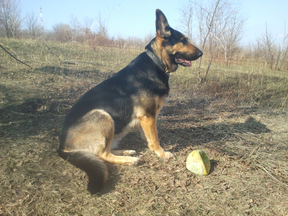 Фото автора