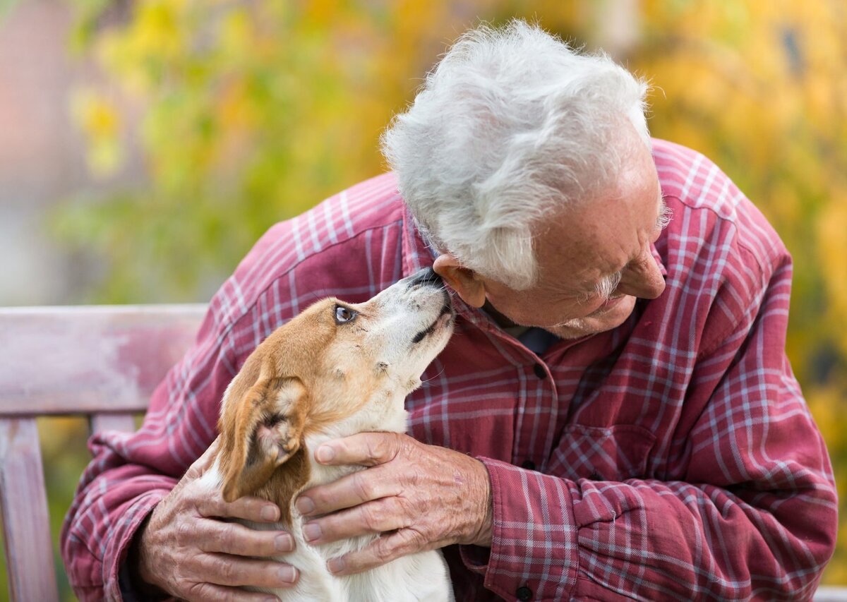 Из свободных источников