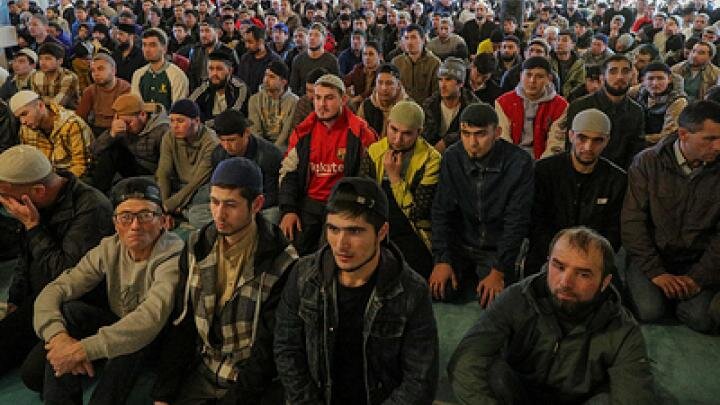 Фото: globallookpress.com/Bulkin Sergey