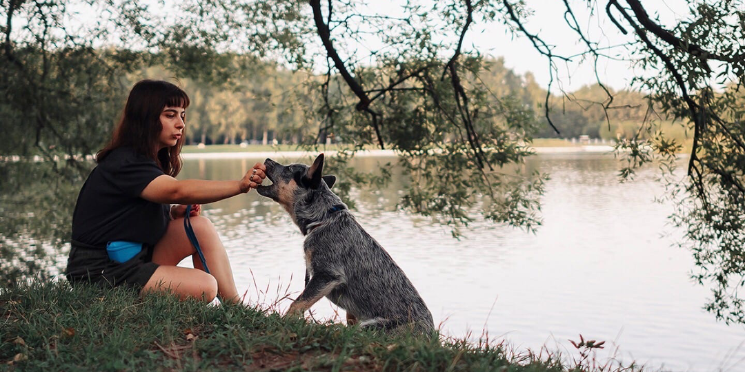 Отсутствие раннего опыта у собаки и человека.