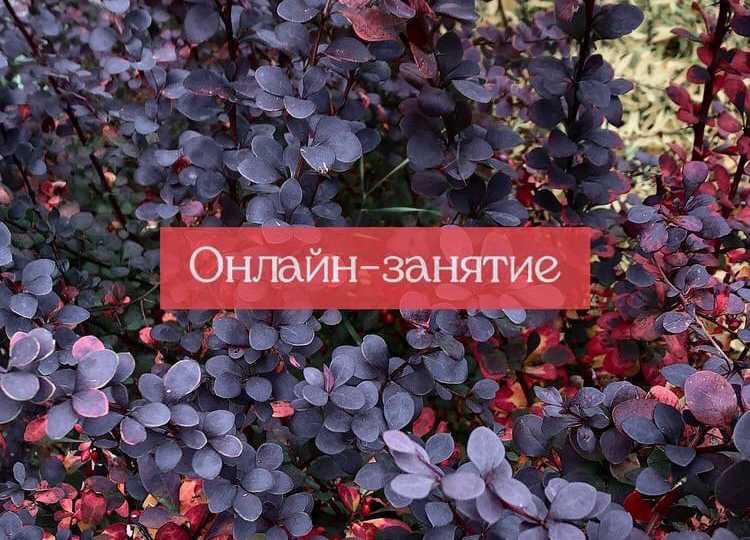 Онлайн консультирование🙏🏻