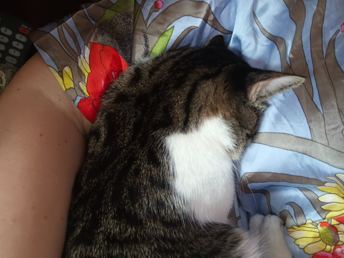 Кузенька мой, сонный ангел