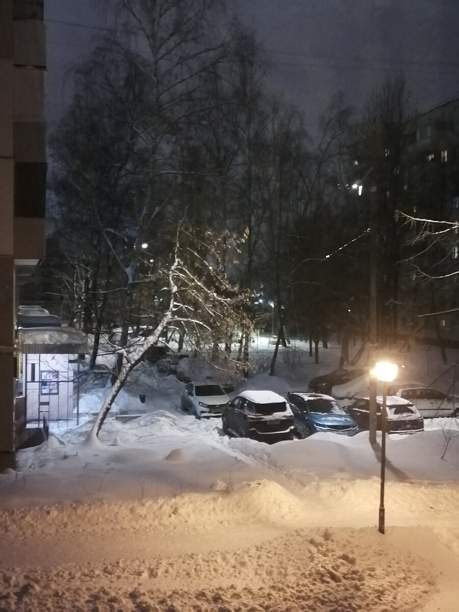 Морозы нагрянули, а про последующие снежные рекорды никто ещё не догадывается...