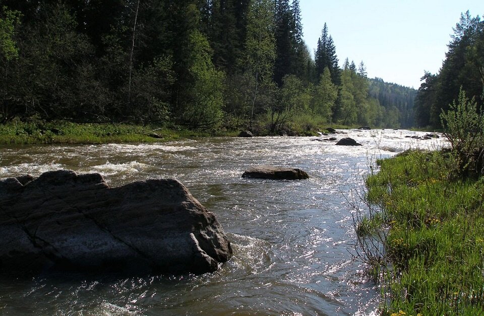 Река Есауловка