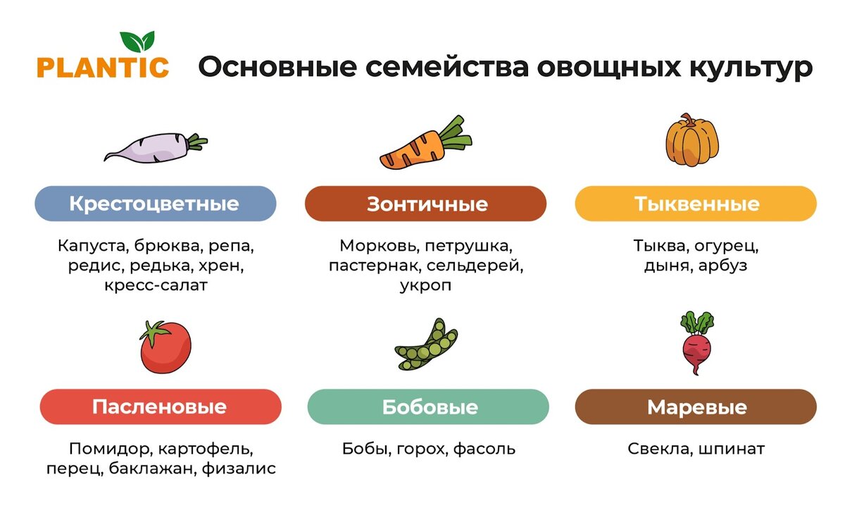 Разделите растения на группы схожести, учитывая их семейное происхождение. Например, помидоры, перцы и баклажаны принадлежат к семейству паслёновых, поэтому лучше не размещать их на одной грядке два года подряд.