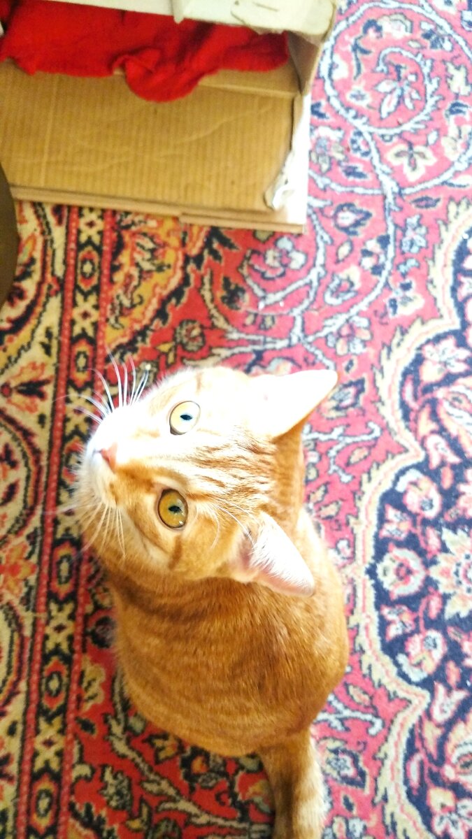 Личное  фото.