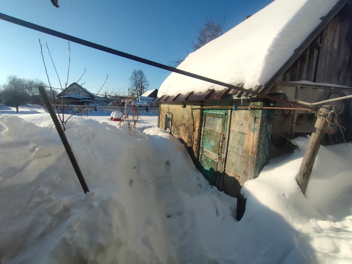 Баня и огород за ними. Снега по пояс )