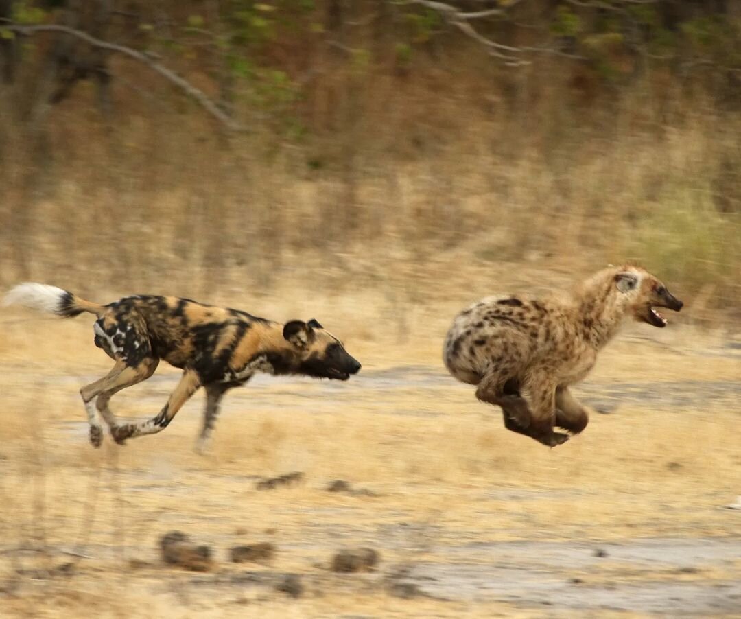 стихи о поздней любви к мужчине. безгрешными приходим и грешим веселыми приходим и скорбим. мы редко замечаем как. иногда люди забывают. если бы вы знали как редко нас понимают правильно вы.