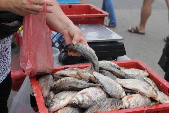 что делает рыба