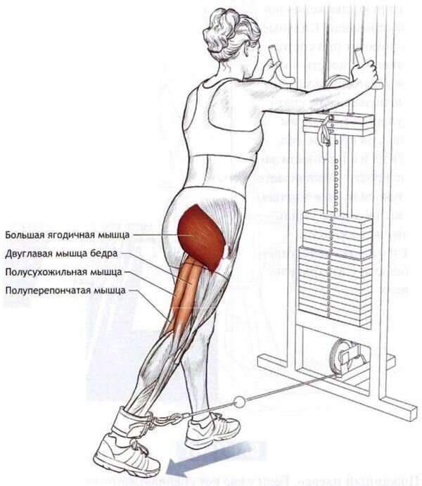 Как качать ягодицы мужчине в тренажерном зале
