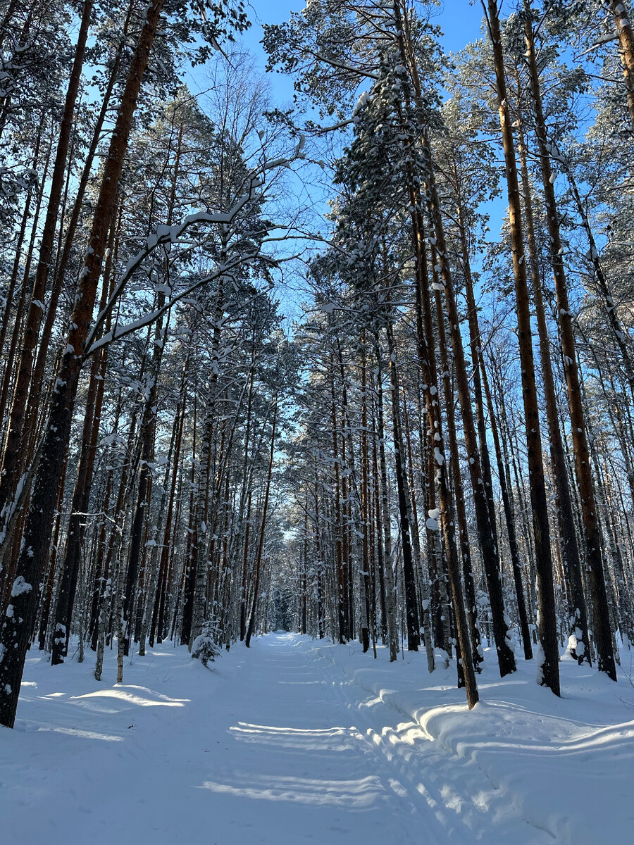 Но восемь километров по такой красоте даже в кайф, если честно)