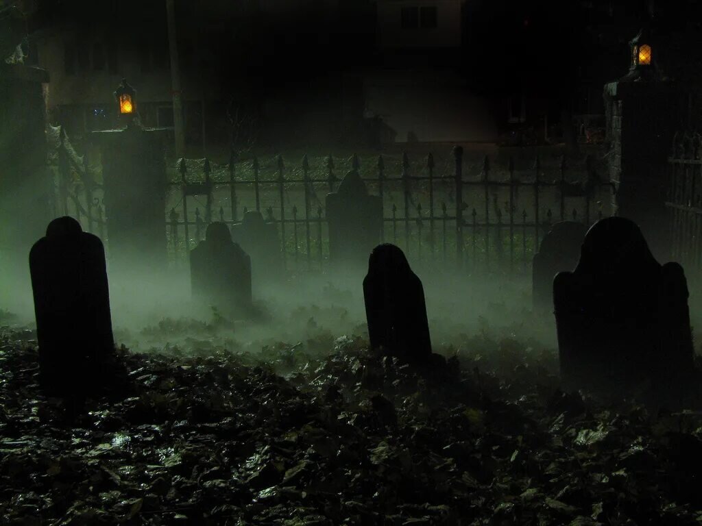 Изображение взято из открытых источников интернета. 