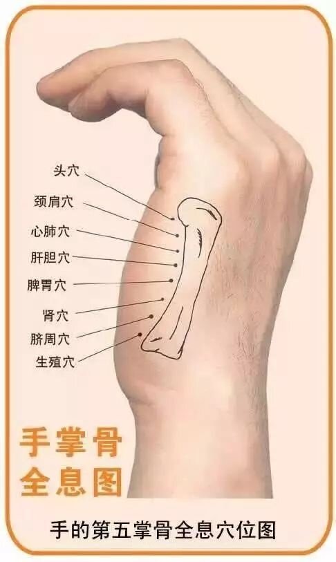 точки аускультации клапанов сердца. 5 точка 3 точка. уязвимые места человека. 1. 1.