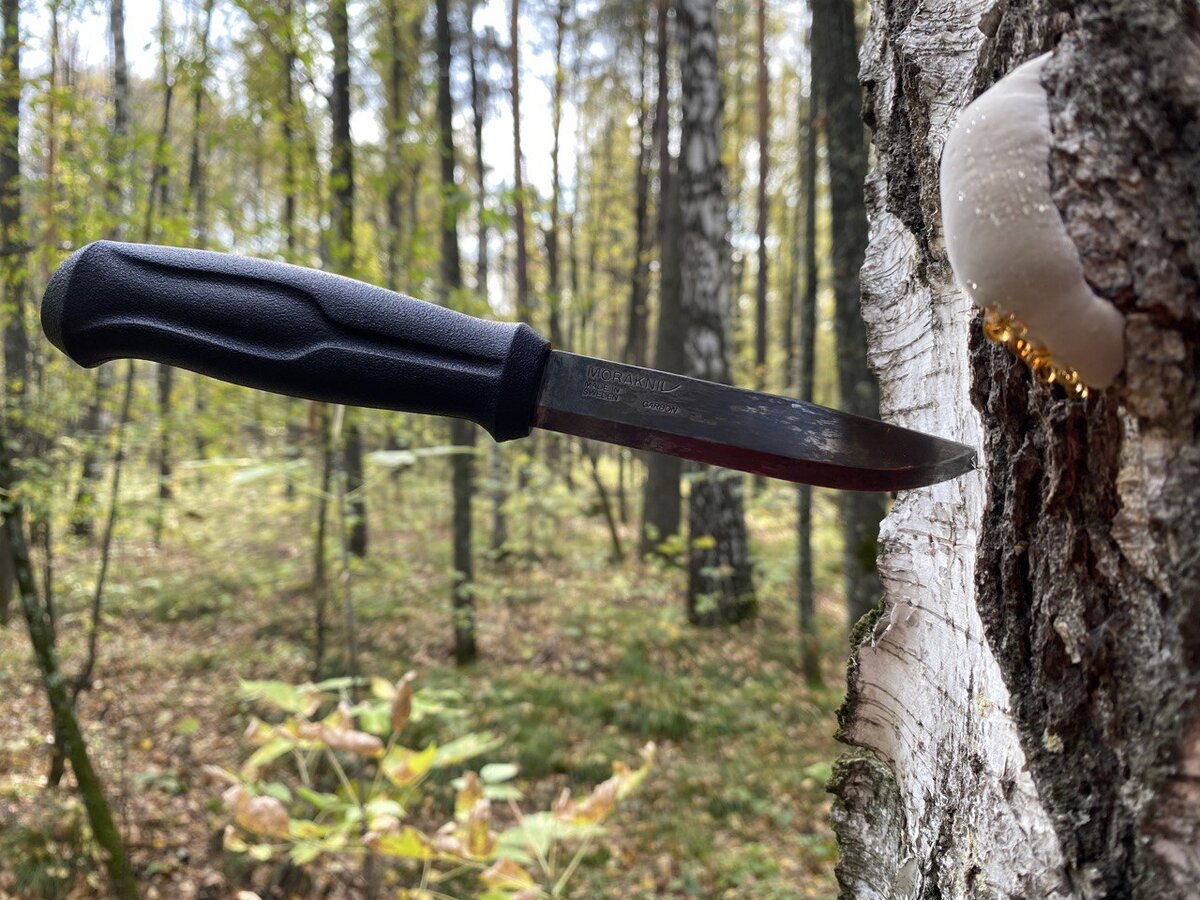 Мора 510. Фото: Лодочник