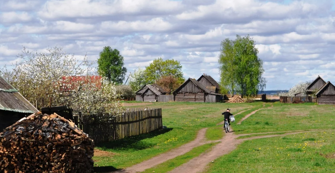 Яндекс картинки