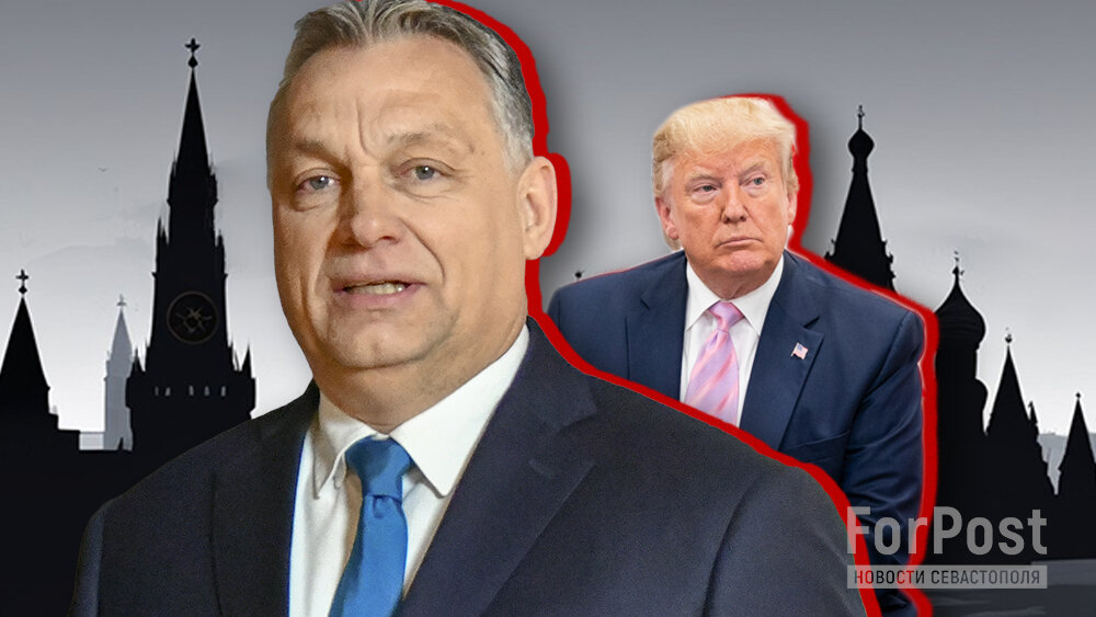 Фото: коллаж Арина Розанова|ForPost