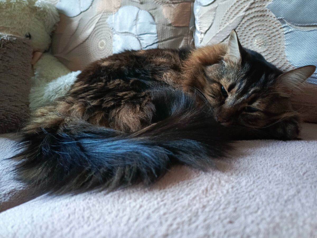 Лежу, а сам бдительность не теряю.