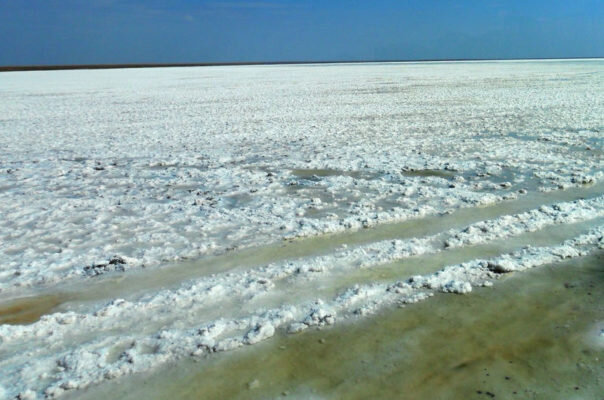    На озере Эльтон