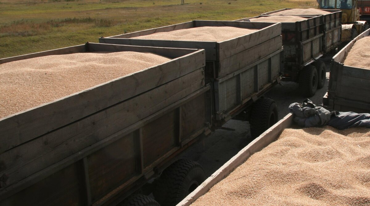 Фото Николая Соловьева