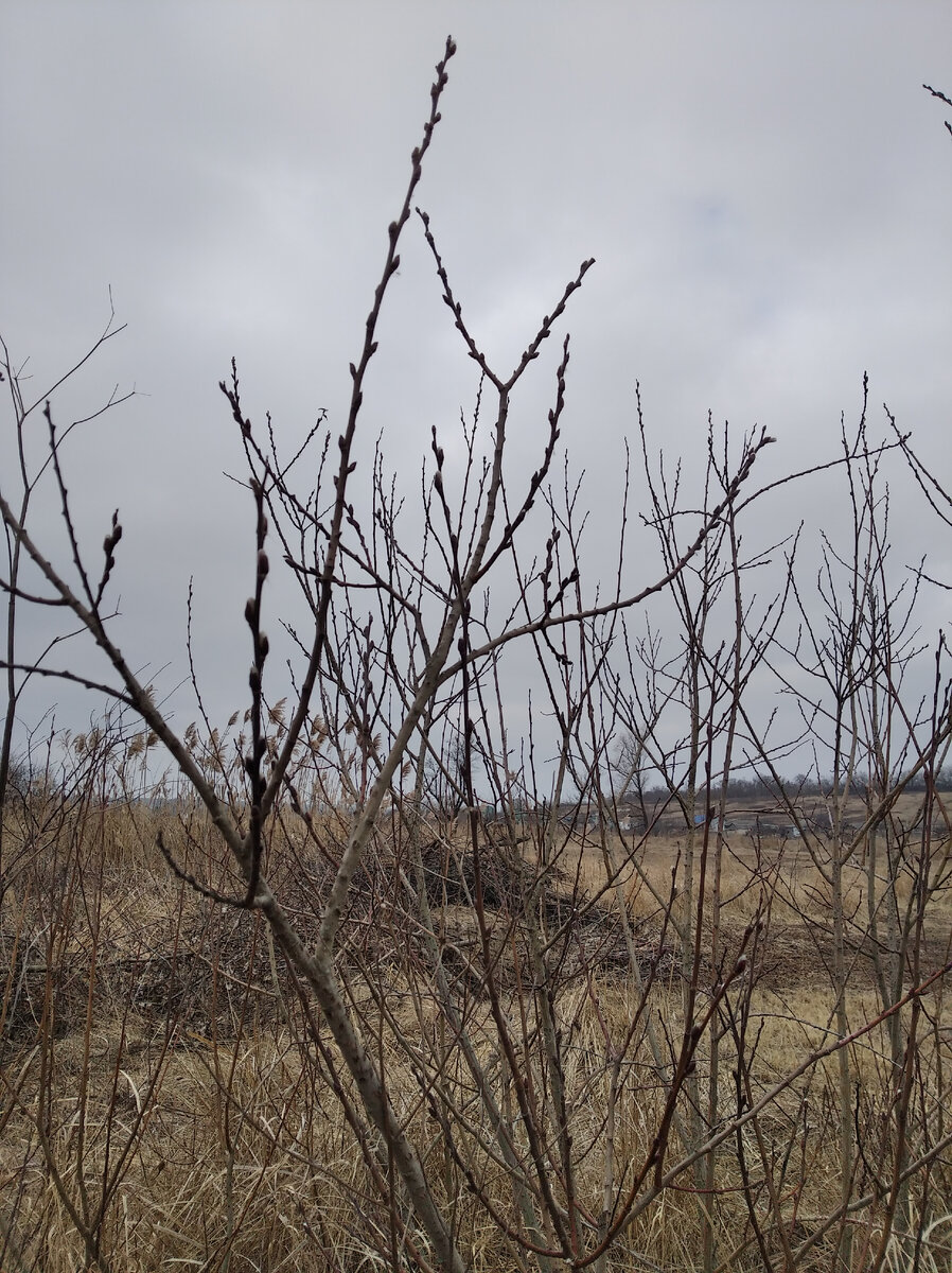 Личное фото