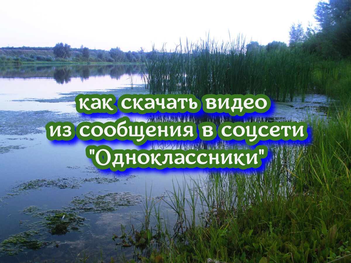 Как скачать видео с одноклассников в сообщениях
