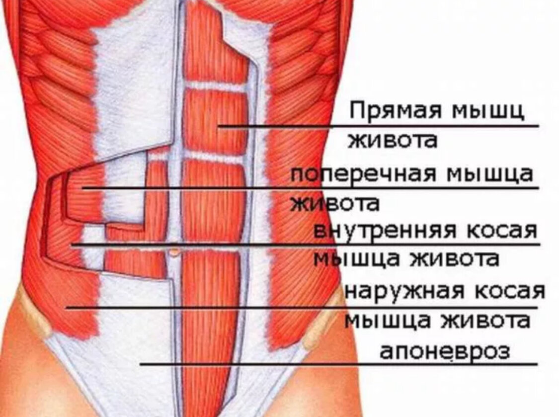 Лежа на спине пресс подтягиваем с помощью 1 упражнения, можно делать с утра  лежа в постели | Healthy | Дзен