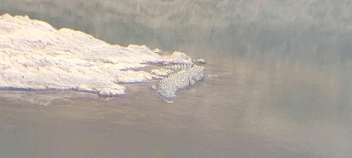 водопад милосердия 2023. водопад милосердия 2023. водопад милосердия 2023. дорога милосердия 2023. водопад милосердия 2023.