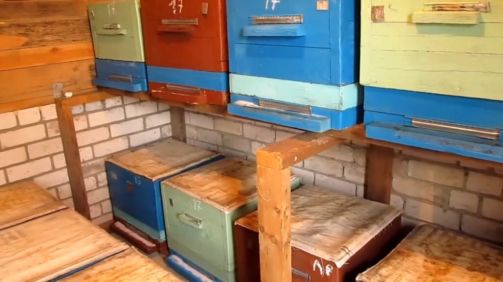 Пчёлы в зимовнике.