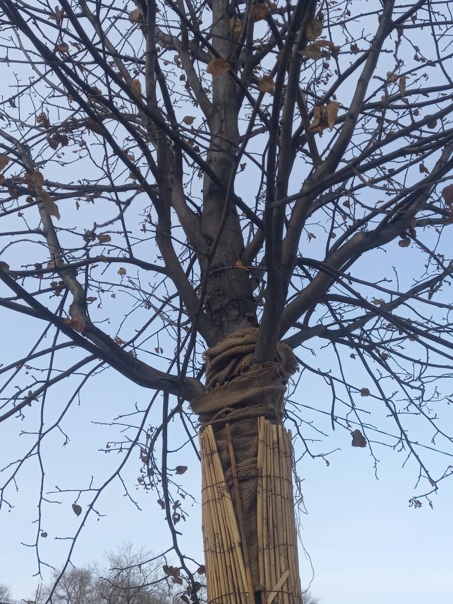 Фото Павла Жирнова.