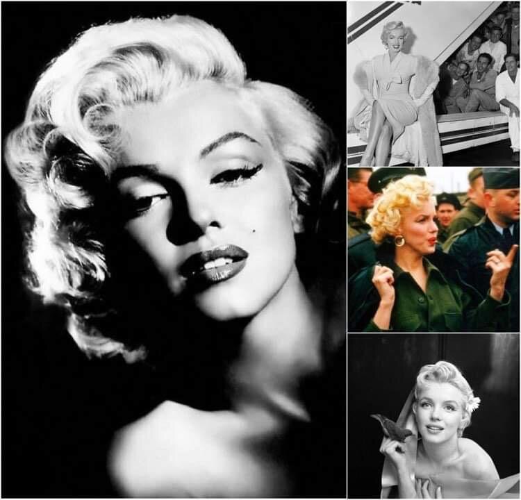 фото из открытых источников