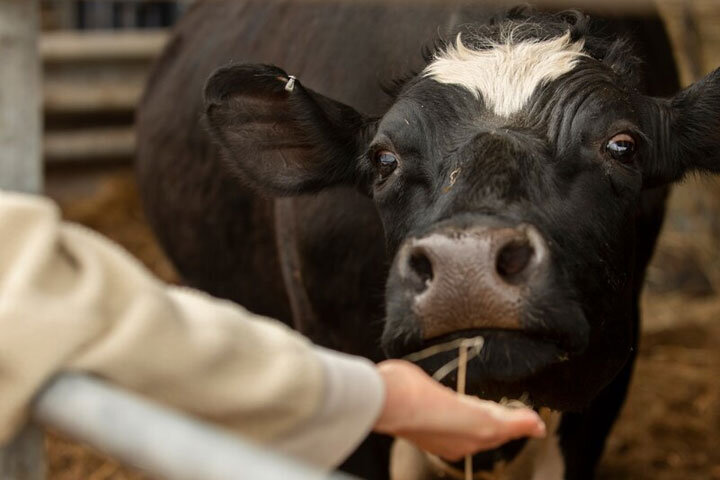 Фото: ru.freepik.com 