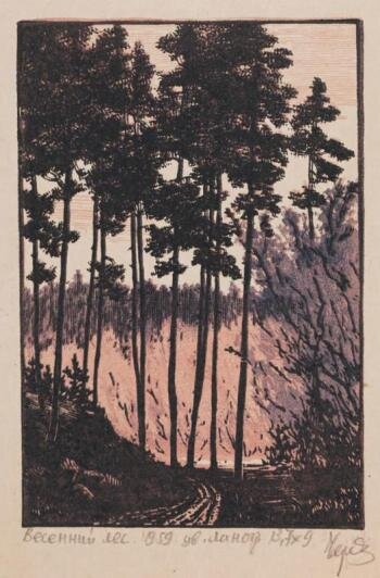 Черкасов Николай Иванович (1919-2013). Весенний лес. 1959. Цветная линогравюра