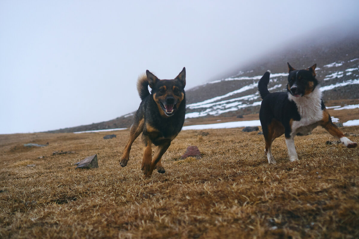 Картинка с бесплатного фотостока https://unsplash.com, автор Antony Matthews