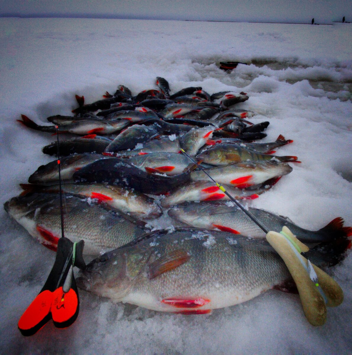 Первый глобальный пролет в сезоне. Корюшка, щука, окунь, плотва | Max  Fishing | Дзен