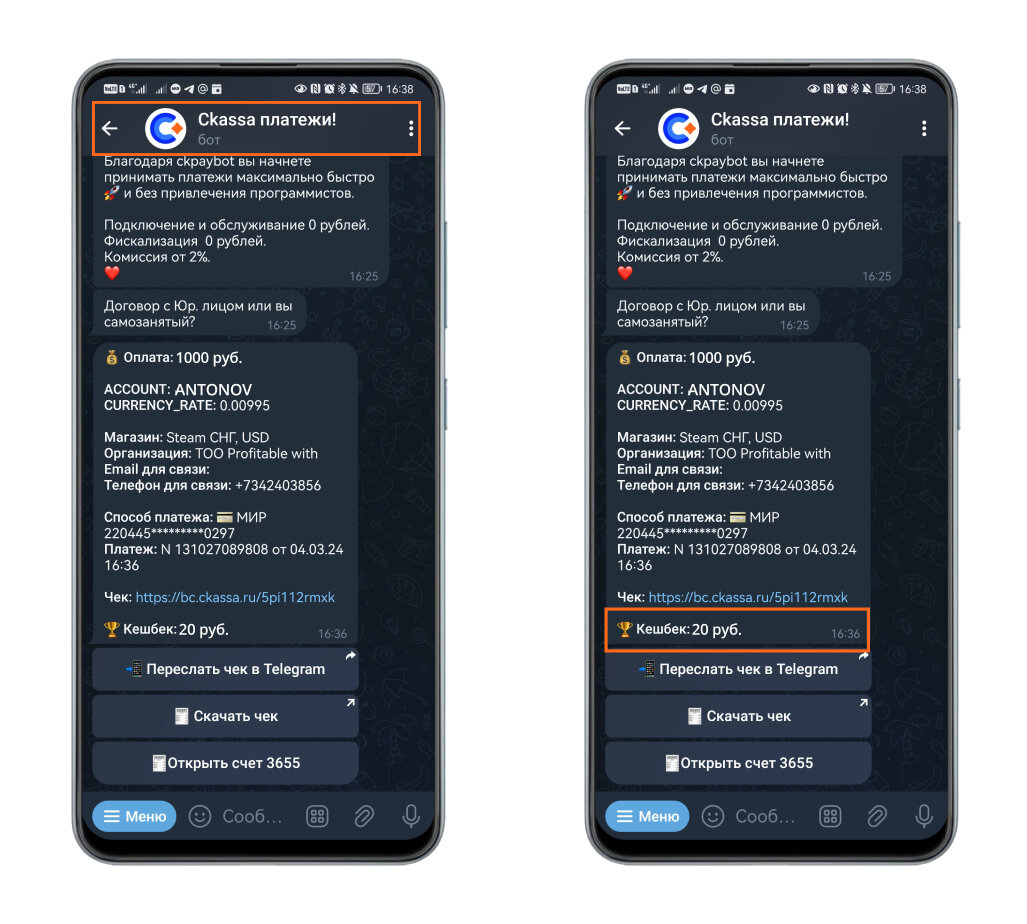 ckpaybot в Telegram помогает оплатить Steam и еще получить кешбэк 2% |  Ckassa – приём платежей для любого бизнеса | Дзен