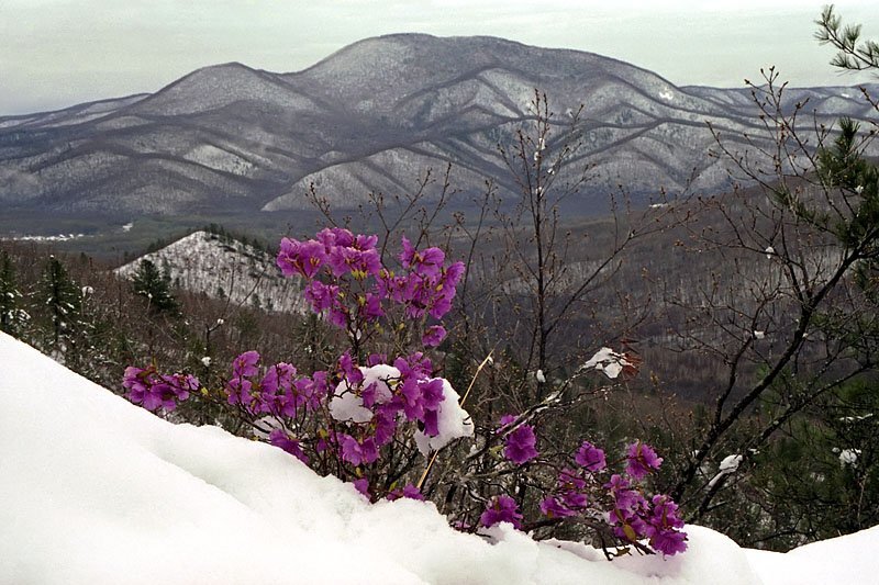 источник kartin.papik.pro