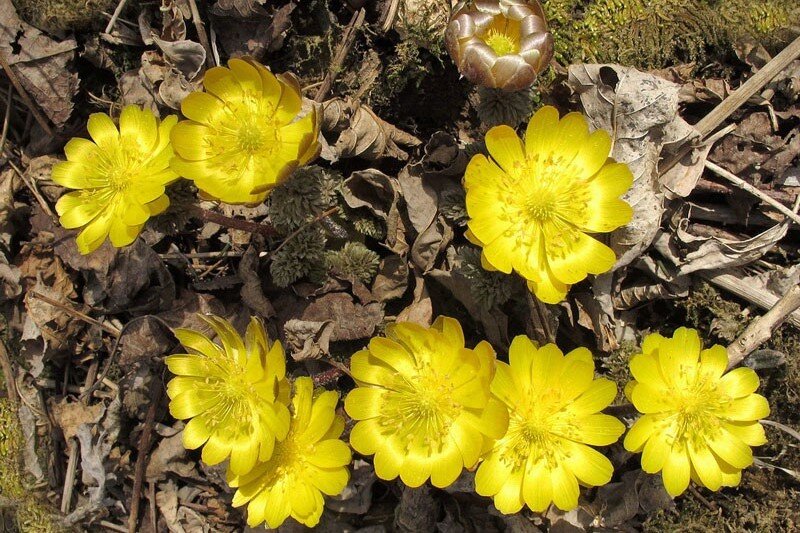 источник redbook28.ru