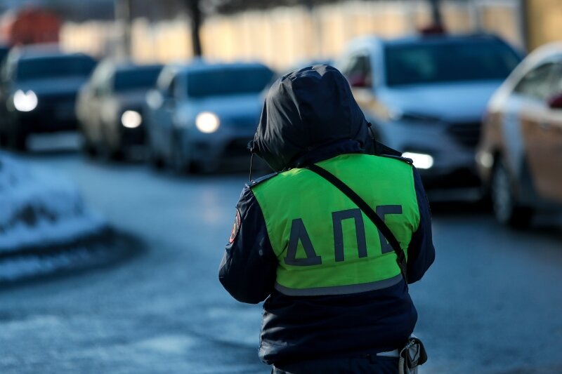    Фото: © Dmitry Golubovich/globallookpress