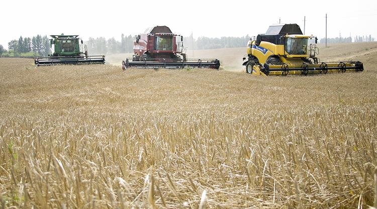 Фото: Вадим Заблоцкий (архив)