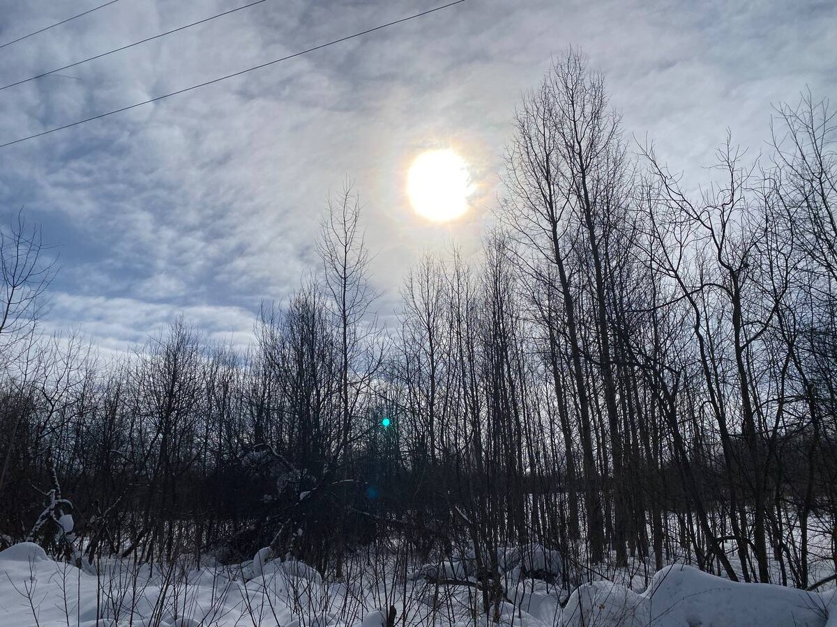 вятский хутор заброшенная деревня. вятский хутор на дзене. вятский хутор алинадзен. вятский хутор дзен. вятский хутор.