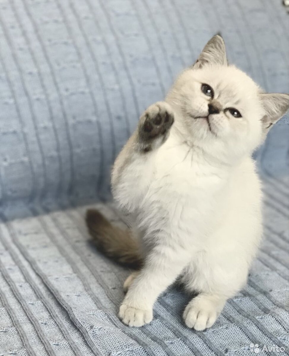 Любовь с первого взгляда