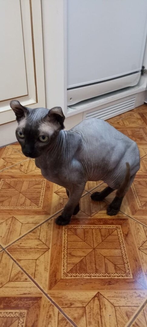 Он стал не нужен прежним хозяевам!