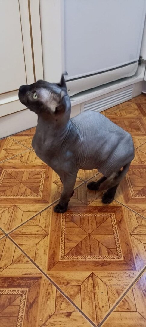 Меня выкинули как вещь?!