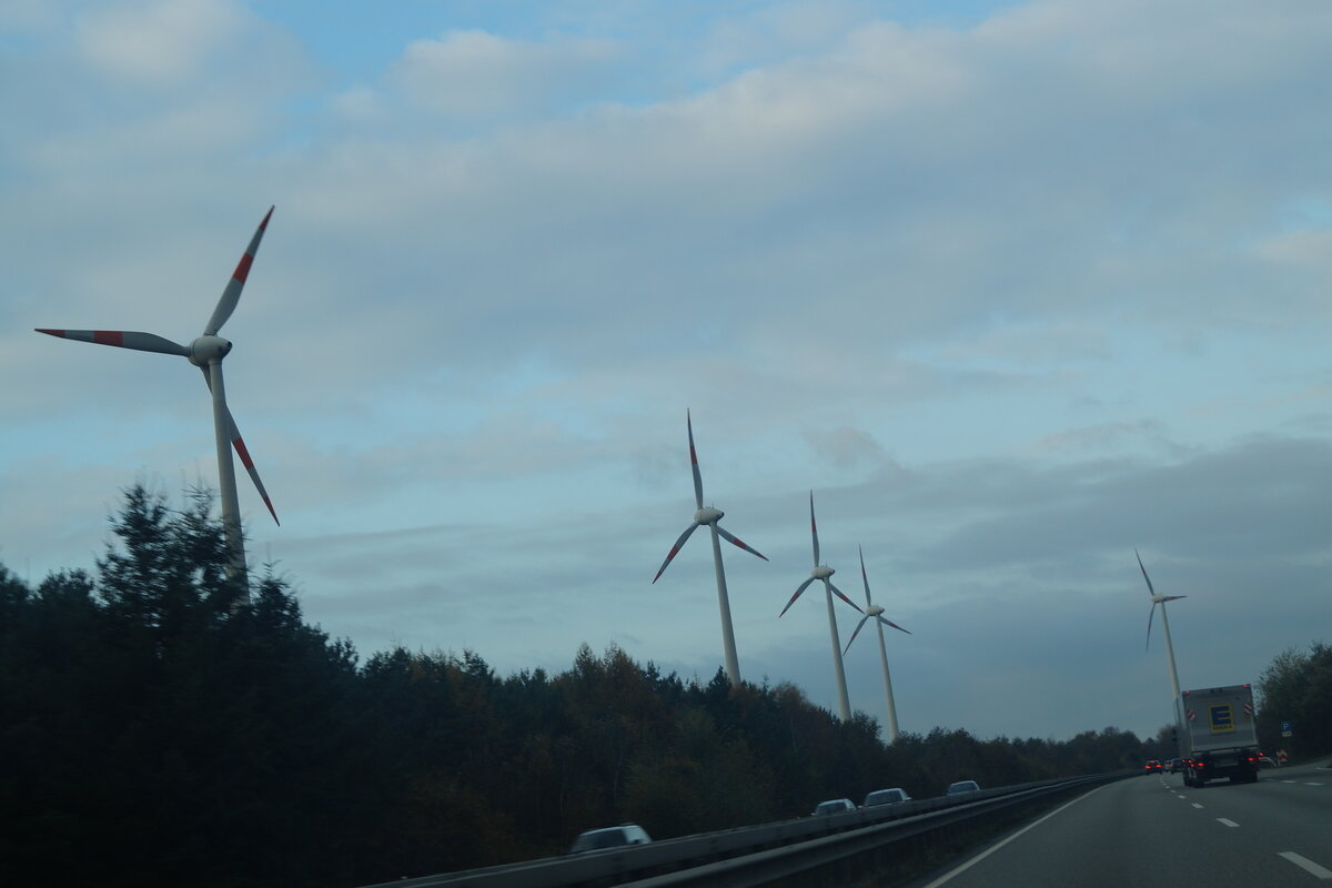 По пути нас сопровождали  ветряки